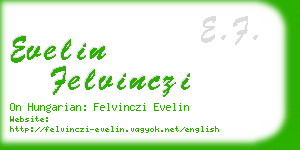 evelin felvinczi business card